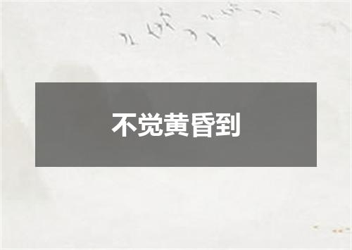 不觉黄昏到