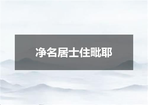 净名居士住毗耶