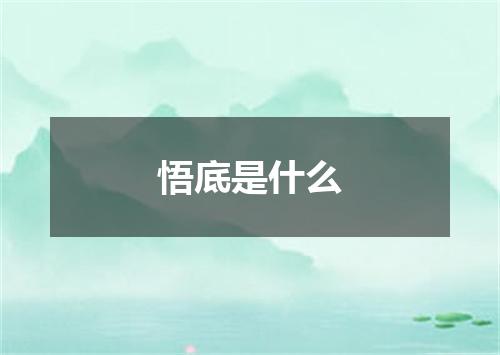悟底是什么