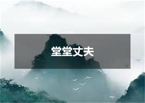 堂堂丈夫