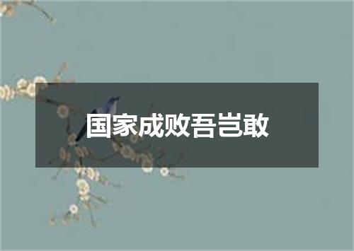 国家成败吾岂敢