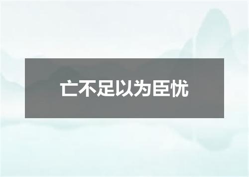 亡不足以为臣忧