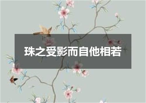 珠之受影而自他相若