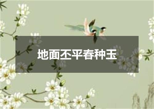 地面丕平春种玉