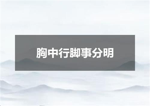 胸中行脚事分明