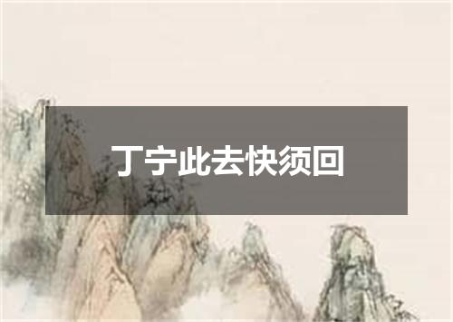 丁宁此去快须回