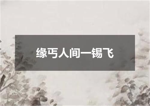 缘丐人间一锡飞