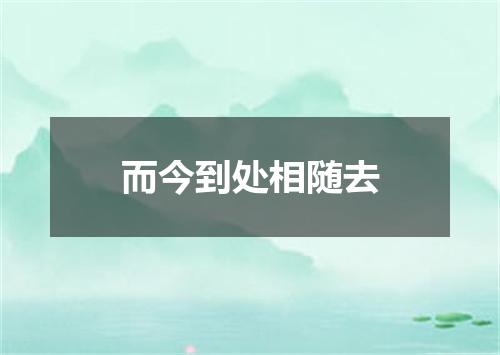 而今到处相随去