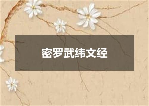 密罗武纬文经
