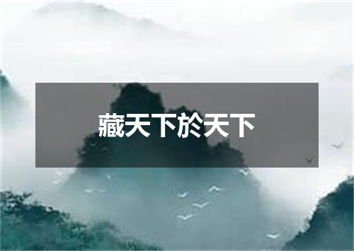 藏天下於天下