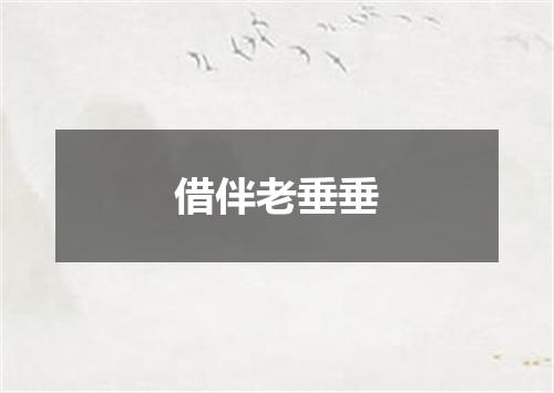 借伴老垂垂