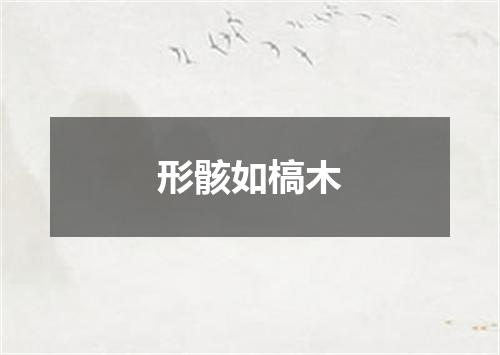 形骸如槁木