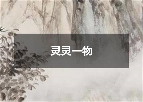 灵灵一物