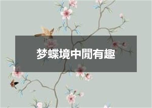 梦蝶境中閒有趣