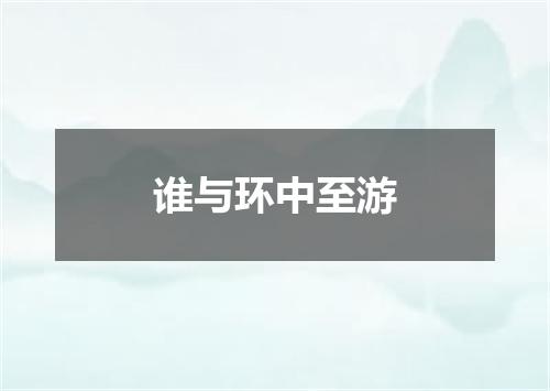 谁与环中至游