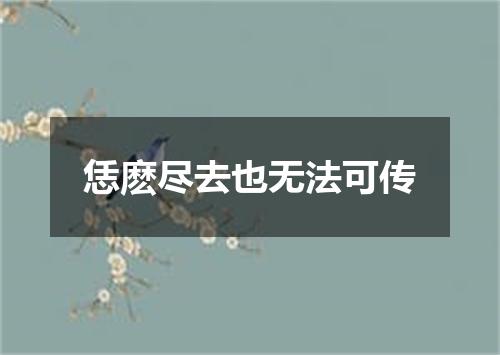 恁麽尽去也无法可传