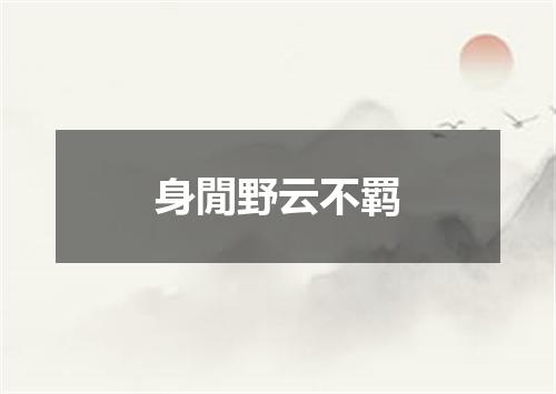 身閒野云不羁