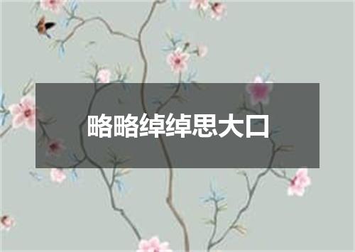 略略绰绰思大口