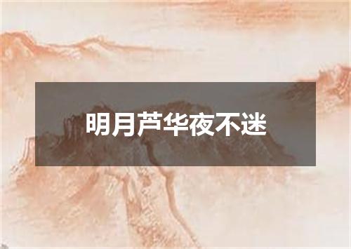 明月芦华夜不迷