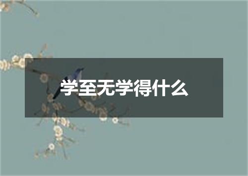 学至无学得什么