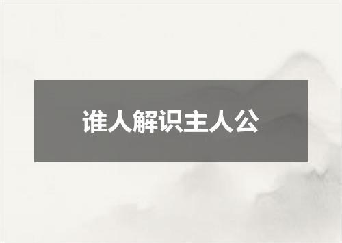 谁人解识主人公