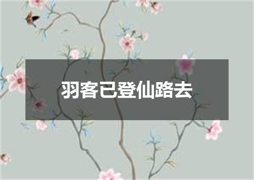 羽客已登仙路去