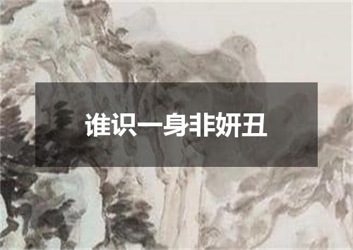 谁识一身非妍丑