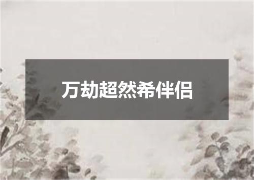万劫超然希伴侣