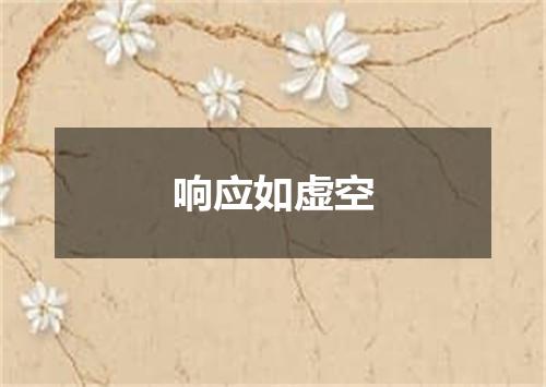 响应如虚空