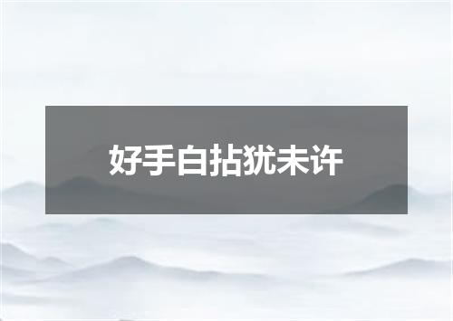 好手白拈犹未许