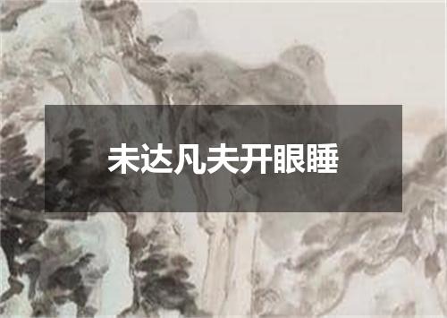 未达凡夫开眼睡