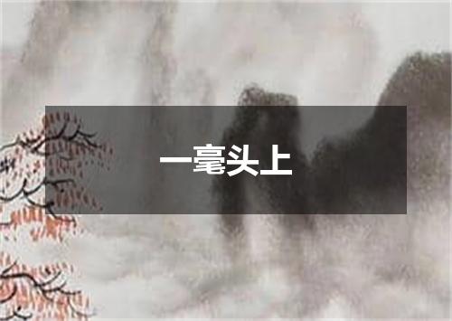 一毫头上