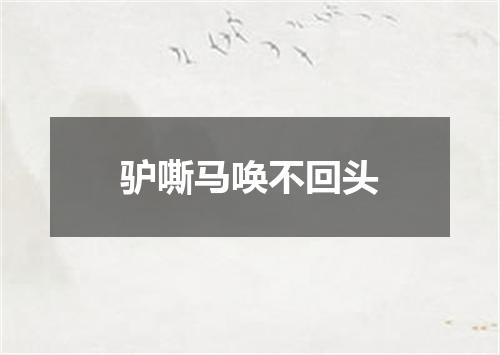 驴嘶马唤不回头