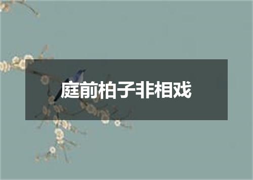 庭前柏子非相戏