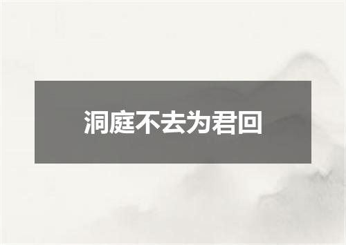 洞庭不去为君回