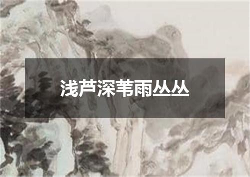 浅芦深苇雨丛丛
