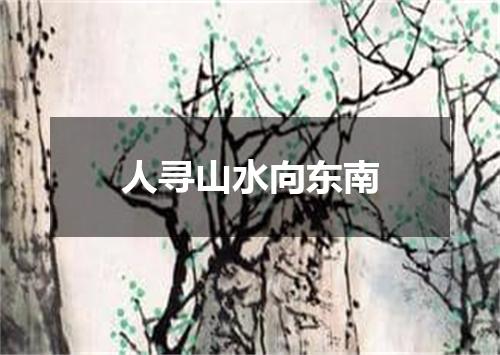 人寻山水向东南