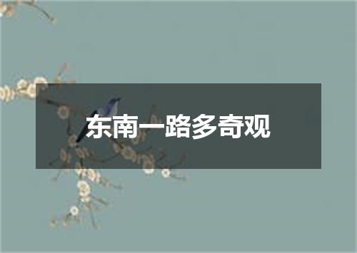 东南一路多奇观