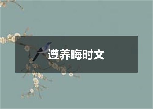 遵养晦时文