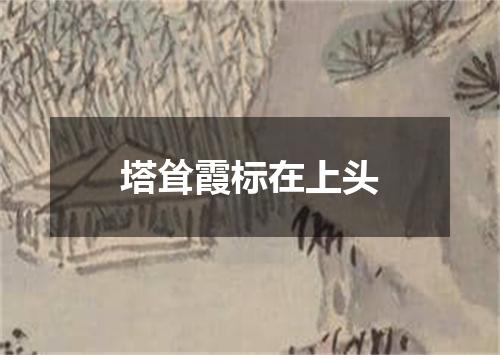 塔耸霞标在上头