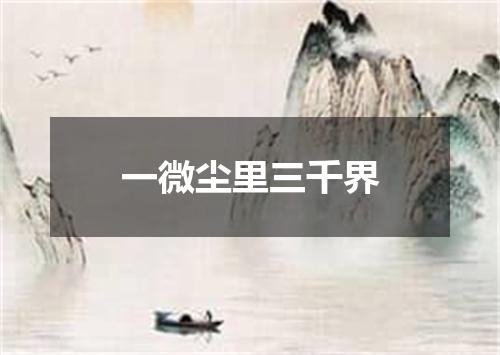 一微尘里三千界