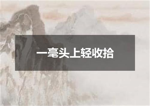 一毫头上轻收拾