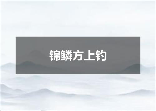 锦鳞方上钓