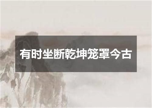 有时坐断乾坤笼罩今古