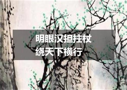 明眼汉担拄杖绕天下横行