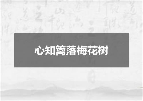 心知篱落梅花树