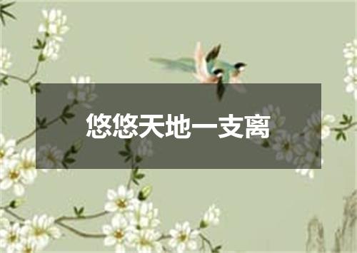 悠悠天地一支离