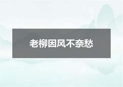 老柳因风不奈愁