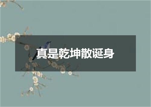 真是乾坤散诞身