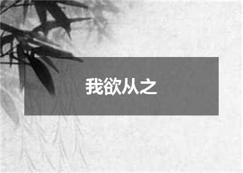 我欲从之
